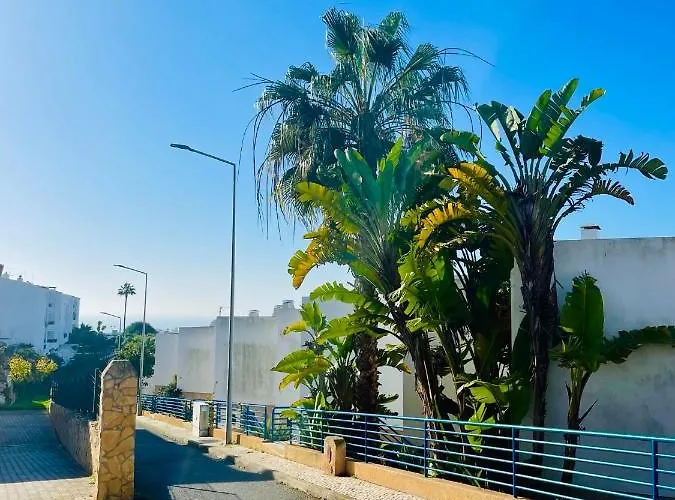 Ocean View Skyline ‚hakuna Matata' Apartament
