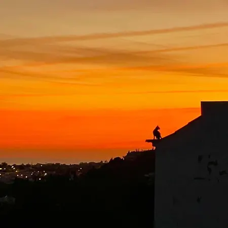 Ocean View Skyline ‚hakuna Matata' Apartment
